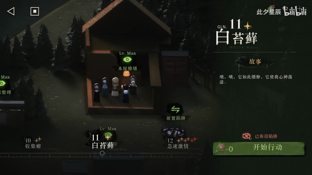 11 【白苔藓】