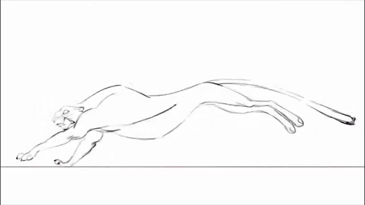 ANIMATION ANALYSIS of Saber Run Cycle by JeremieBecquer