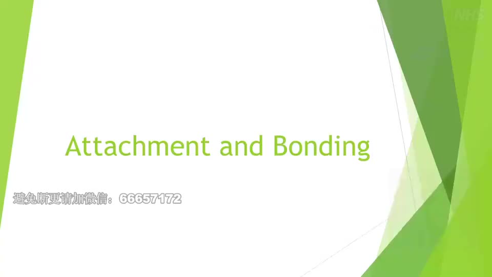 05 视频课：依恋和情感联结