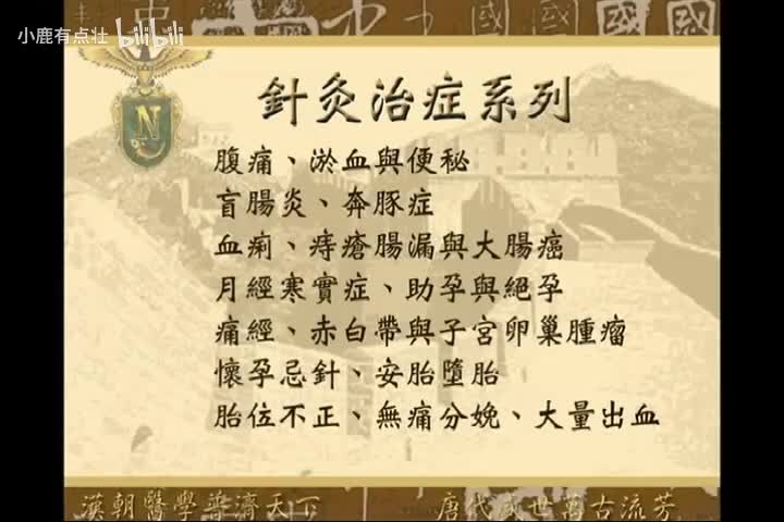 《针灸大成》第9集