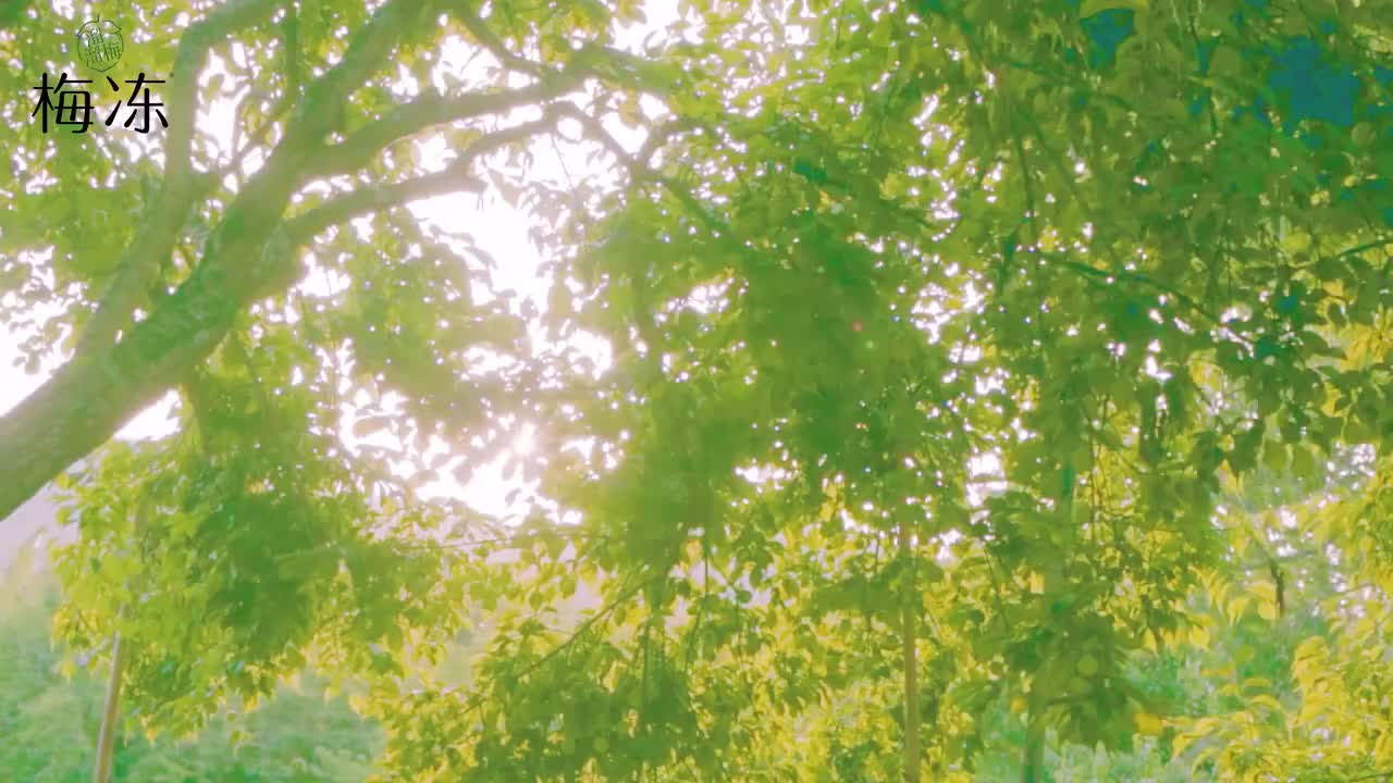 20240326 速报！梅冻春日限定来袭！