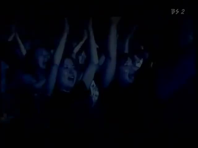 2006 ライブ イン ザ サン 野生の太陽 (y2b)