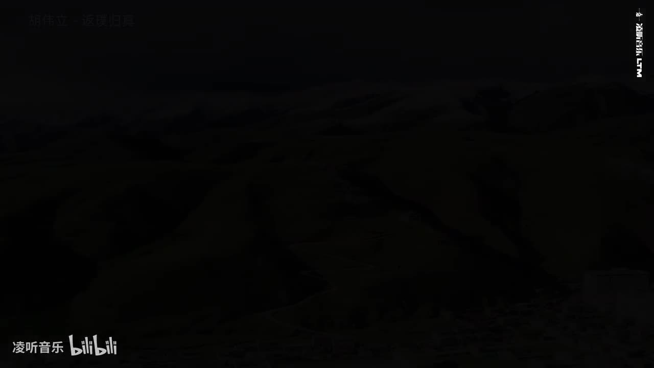 39胡伟立 - 返璞归真