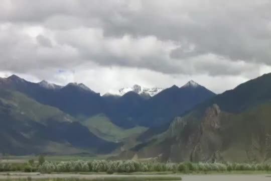 《华严经》第196讲【第四会夜摩天宫】十行品14