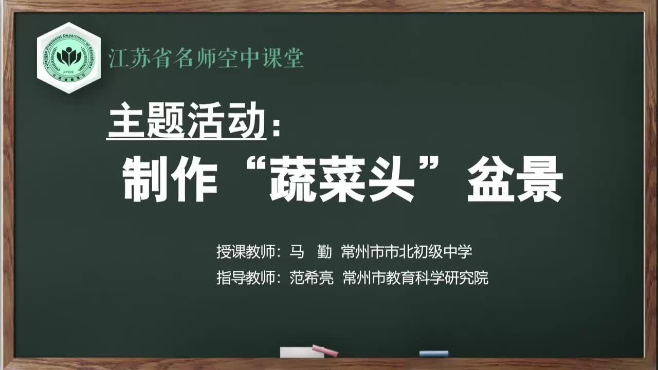 6-主题活动 制作“蔬菜头”盆景