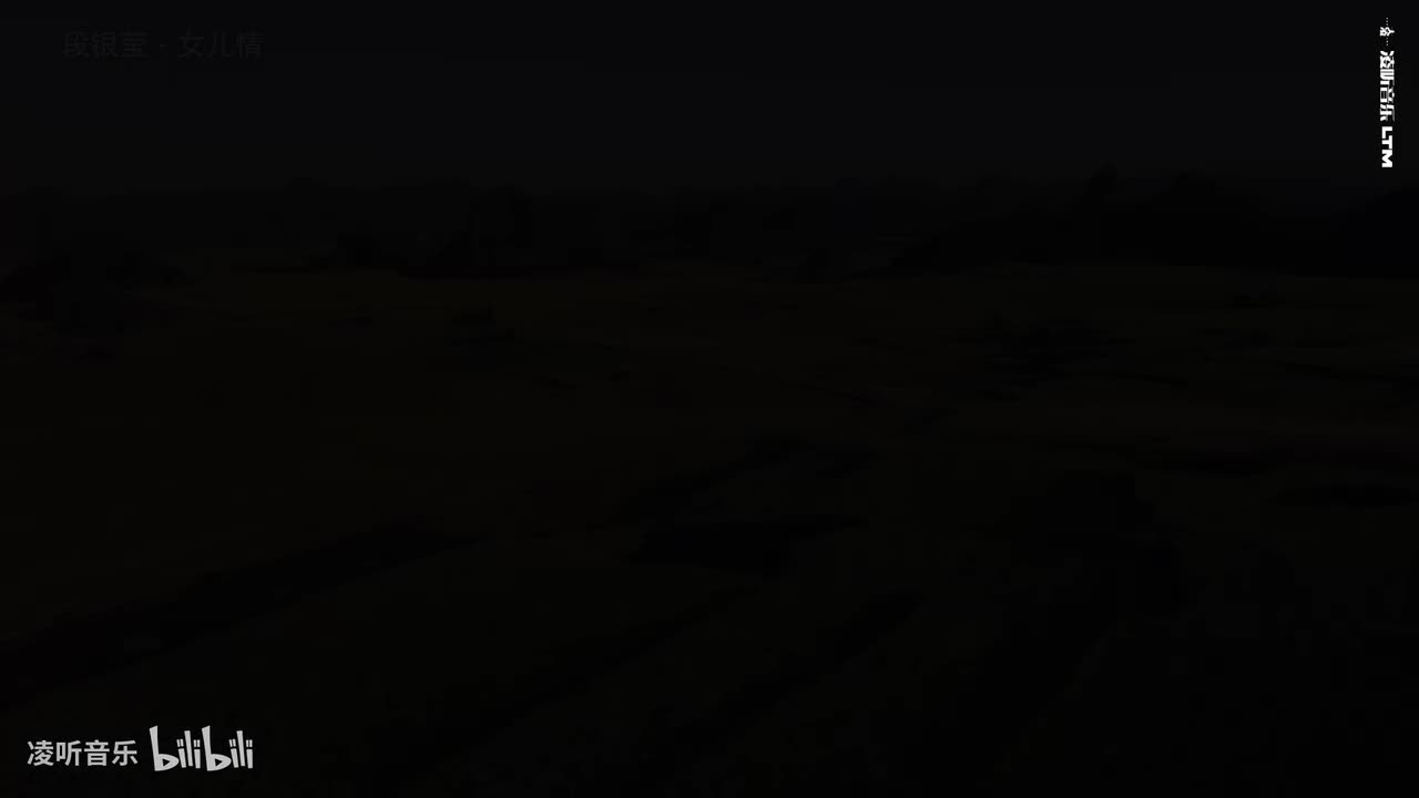 33段银莹 - 女儿情mp4