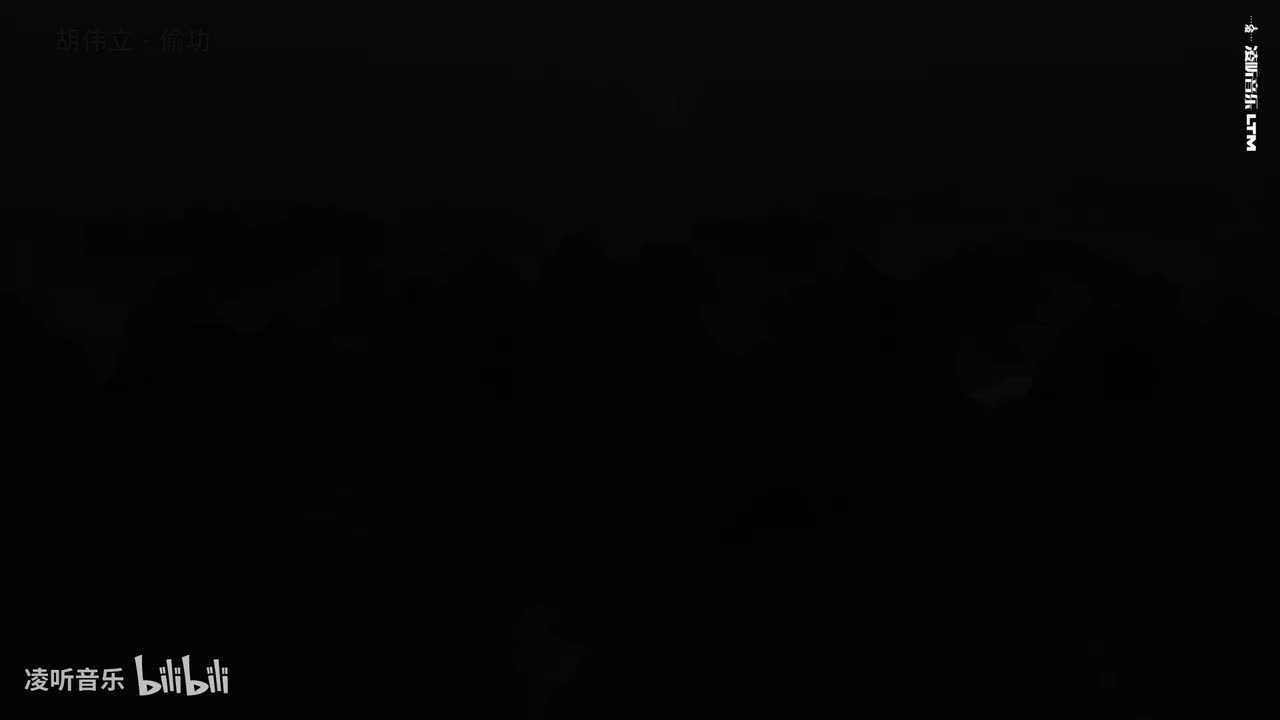 41胡伟立 - 偷功