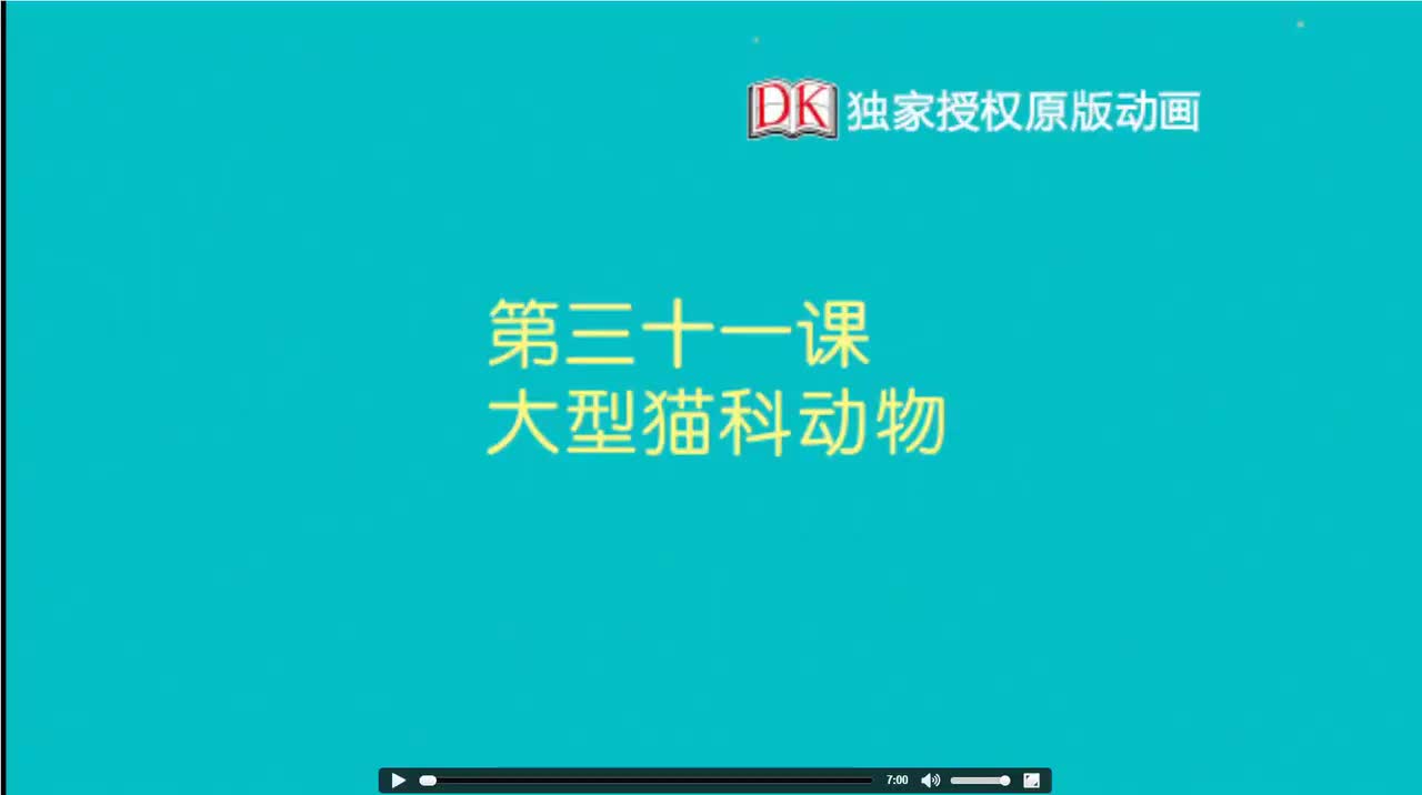 31第三十一节：大型猫科动物 1