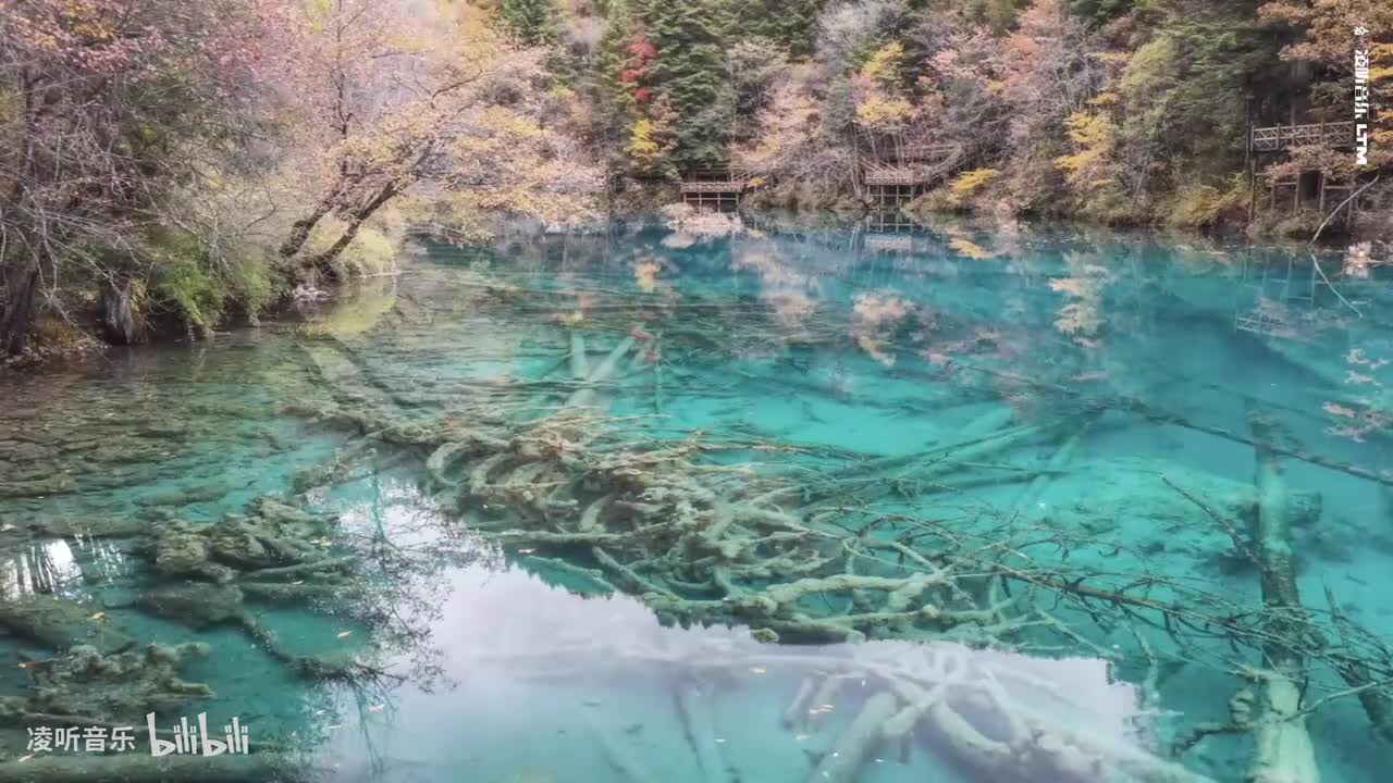 63月之门音乐文化 - 稻香村