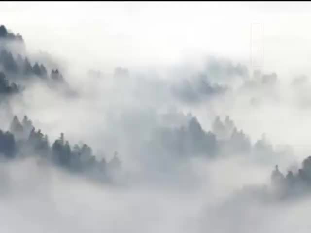 攝大乘論51問答