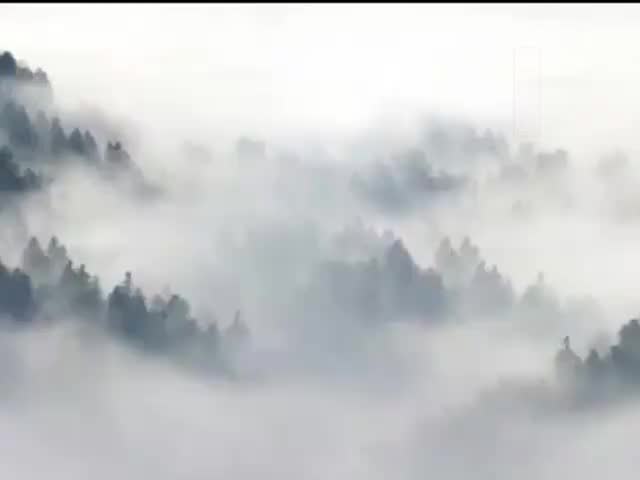 攝大乘論13問答