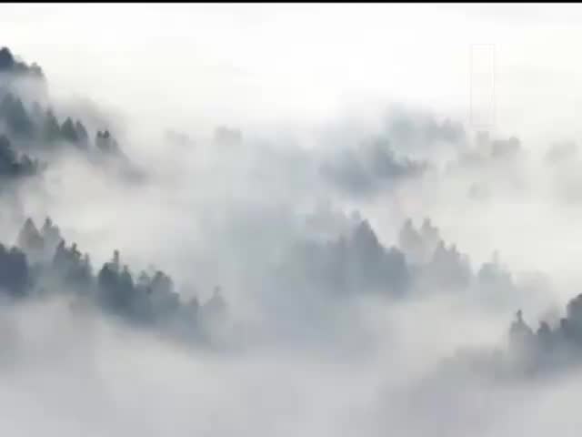 攝大乘論50問答