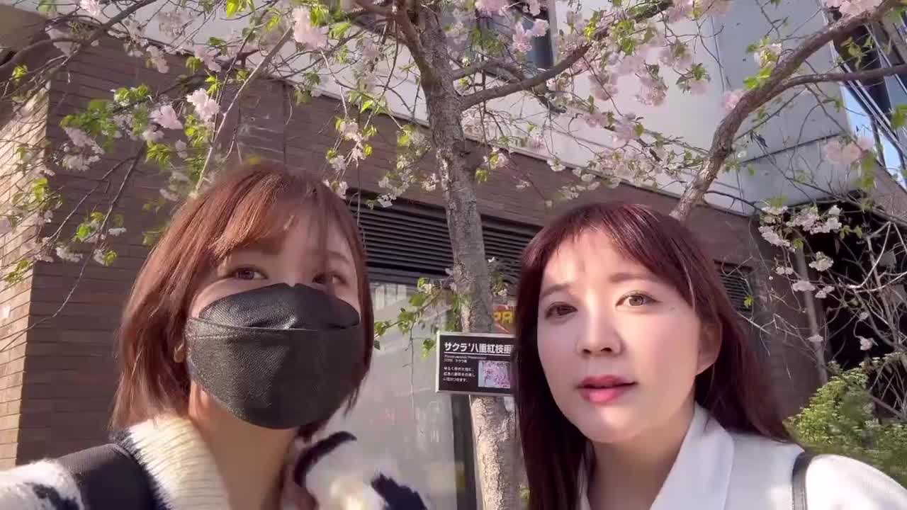 【花より団子🍡】女性声優のお花見🌸2024 in 目黒川