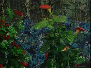 《狸猫换太子》4盛小五 夏巧云