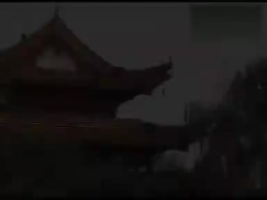 《雷打张继宝》3吴南野 陈应兰