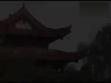 《雷打张继宝》5吴南野 陈应兰