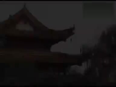 《雷打张继宝》6吴南野 陈应兰