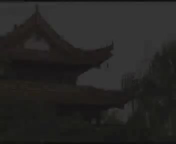 《郑小娇》5吴南野、张莉