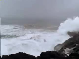 《月唐传》5王小五 昂小红