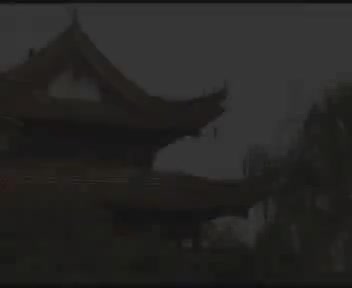 《郑小娇》3吴南野、张莉