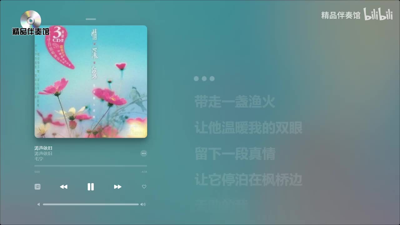 涛声依旧-毛宁-立体声伴奏