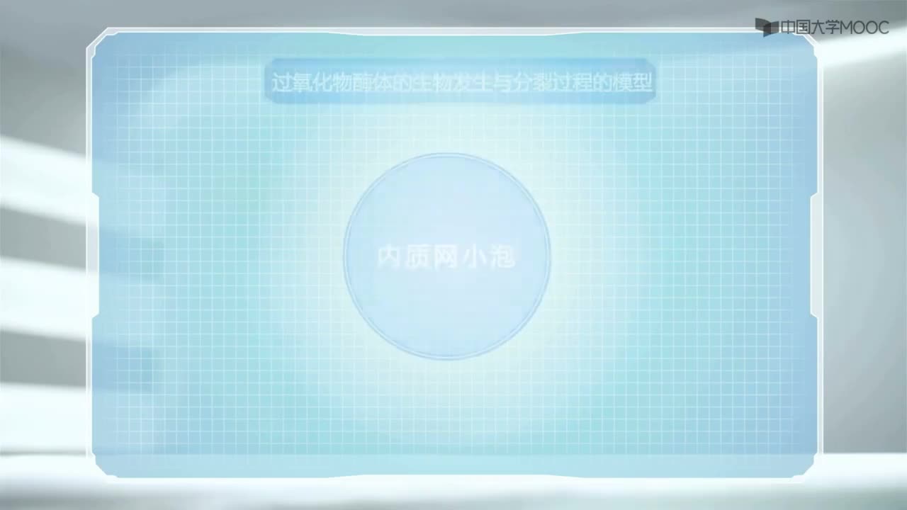 细胞生物学动画