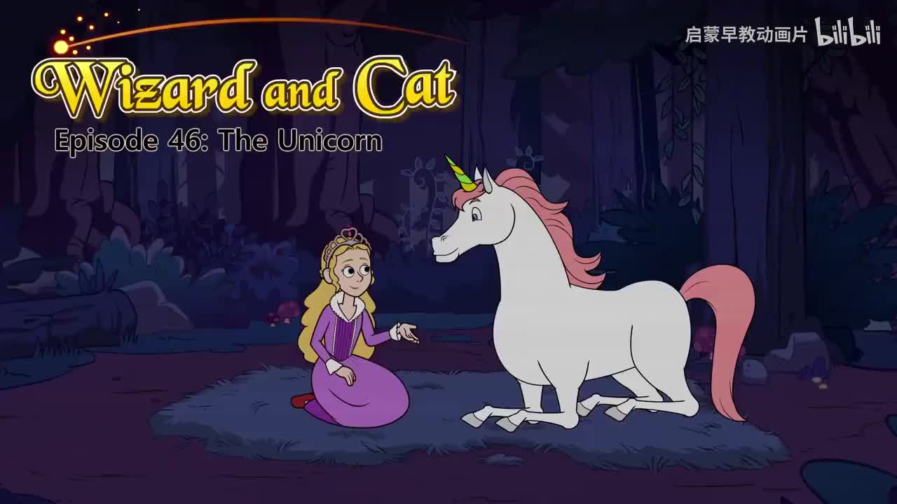 046_Wizard and Cat 46_The Unicorn