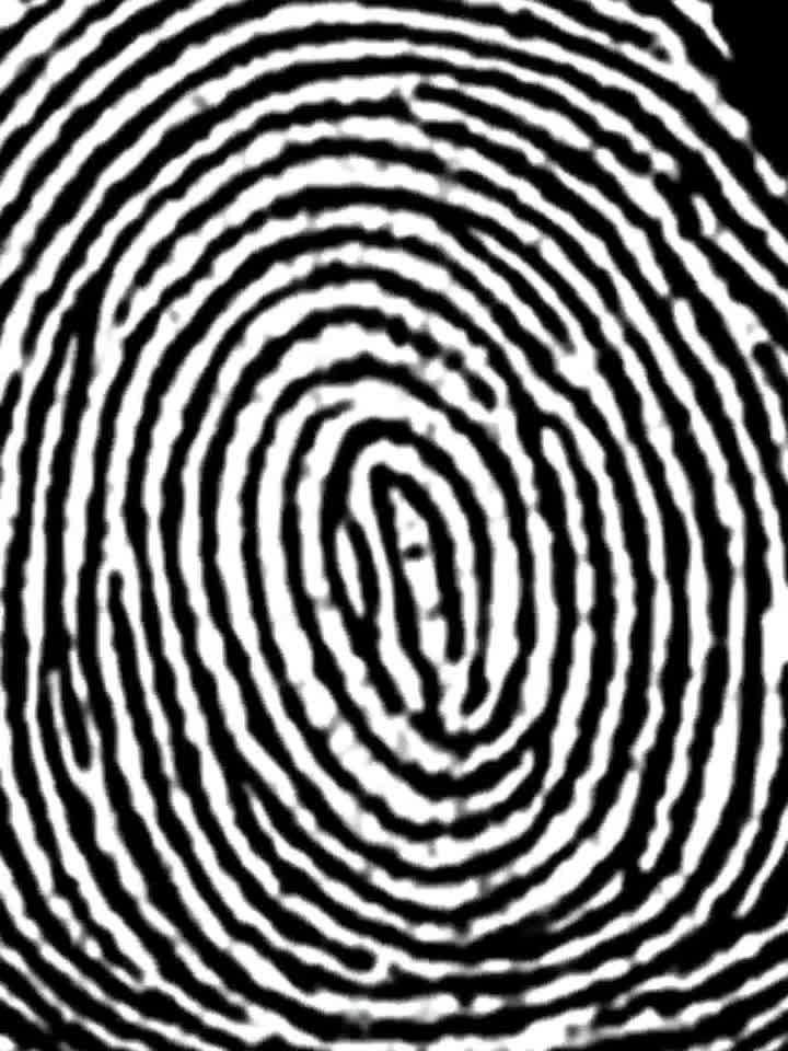 复苏的逆转指纹