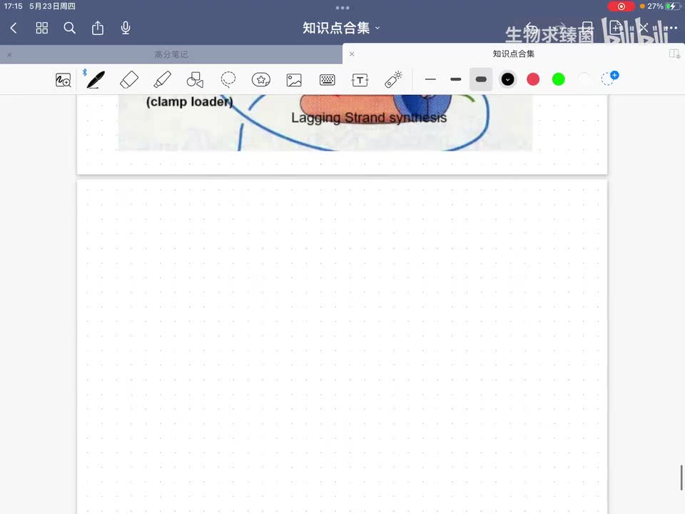 2-5 DNA复制过程(二)