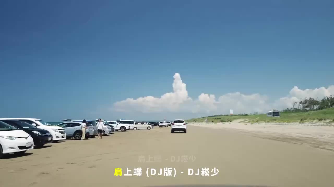 040. 肩上蝶 (DJ版) - DJ崧少