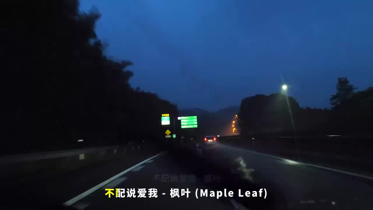 043. 不配说爱我 - 枫叶