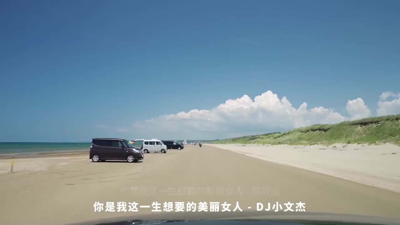 021. 你是我这一生想要的美丽女人 - 燕双鹰