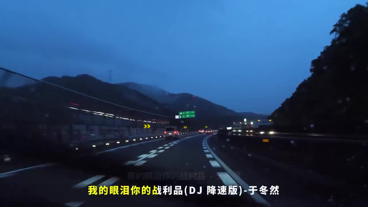 011. 我的眼泪你的战利品 (DJ降速版) - 于冬然