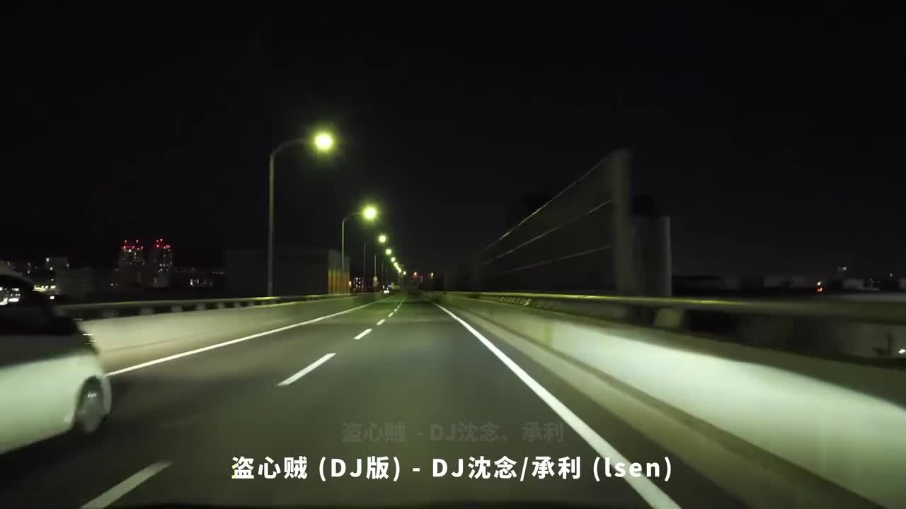 015. 盗心贼 (DJ版) - DJ沈念、承利