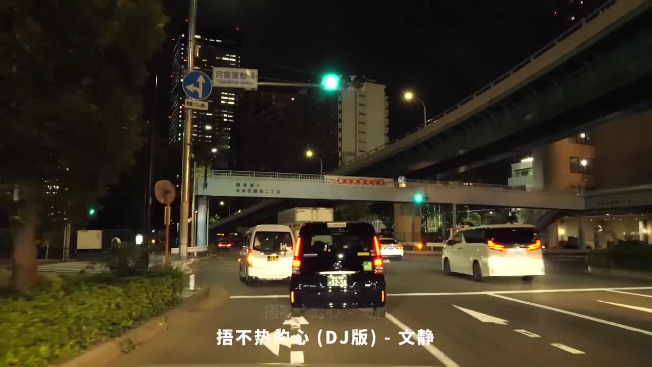 050. 捂不热的心 (DJ版) - 文静