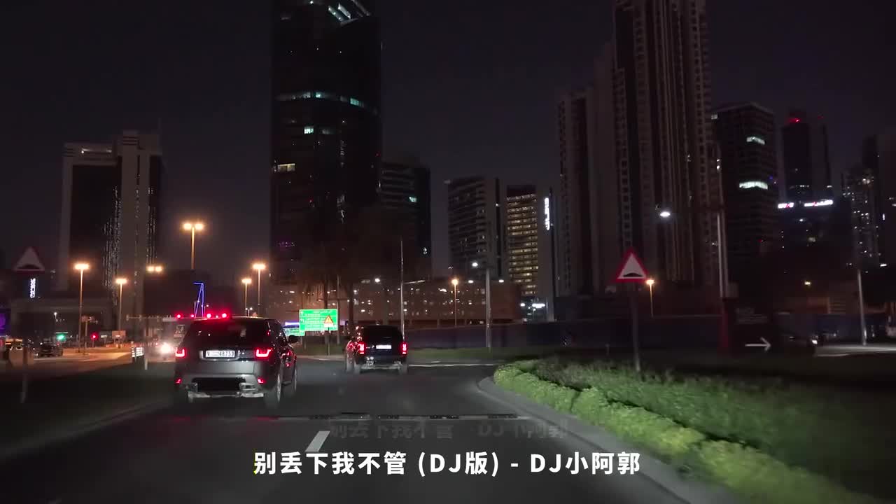 019. 别丢下我不管 (DJ版) - DJ小阿郭