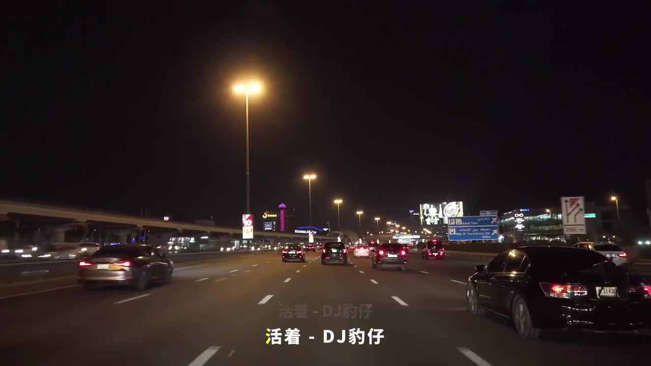042. 活着 - DJ豹仔