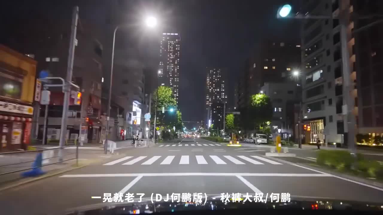 090. 一晃就老了 (DJ何鹏版) - 秋裤大叔、何鹏