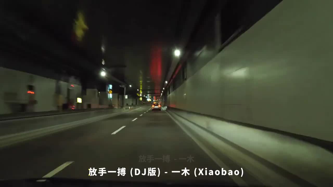 119. 放手一搏 (DJ版) - 一木