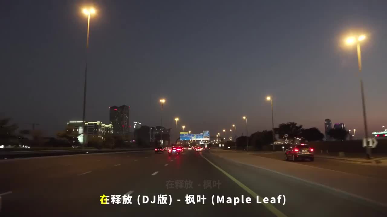 113. 在释放 (DJ版) - 枫叶