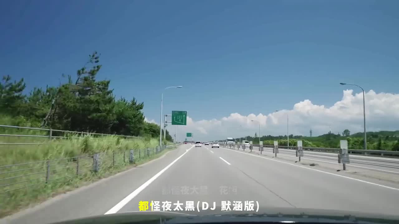 073. 都怪夜太黑 (DJ默涵版) - 花姐