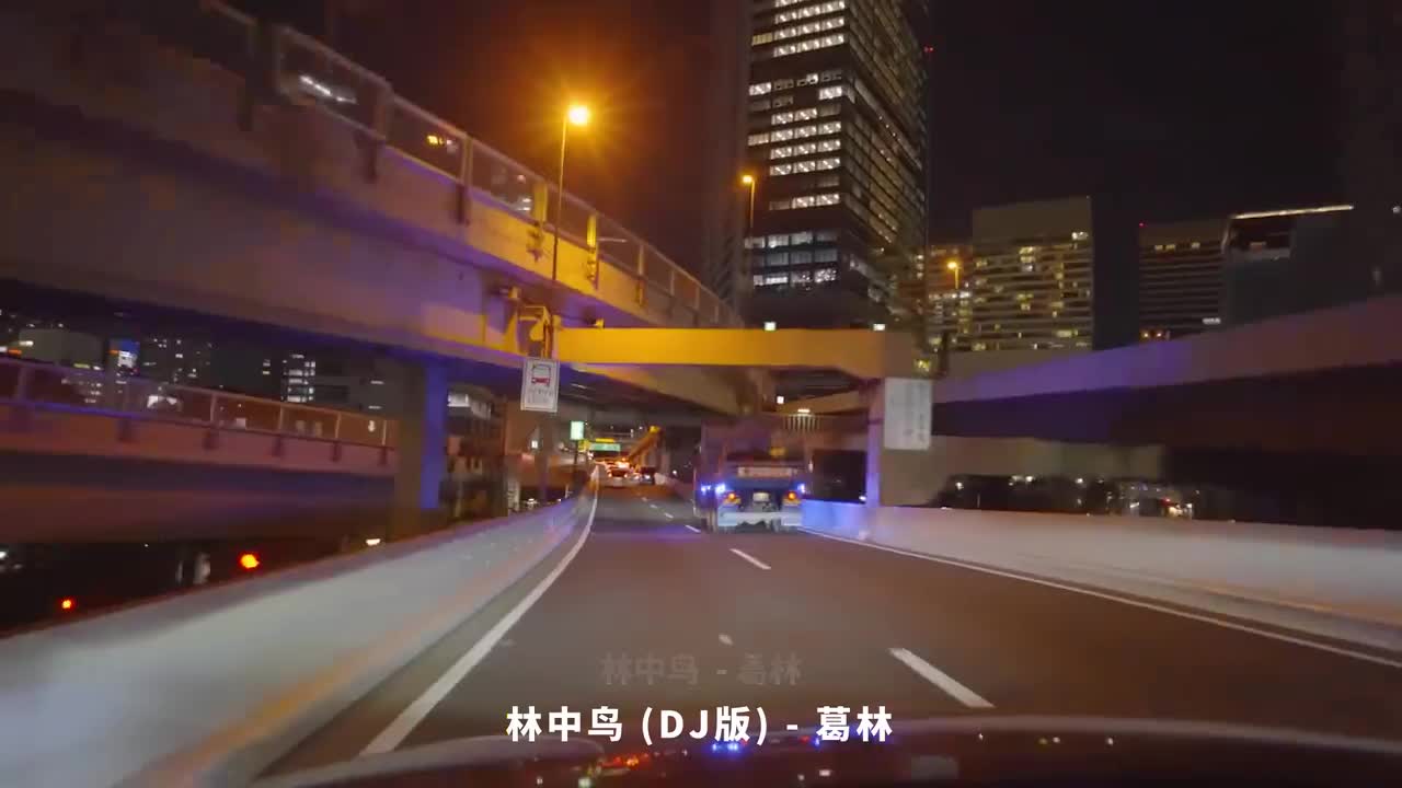 079. 林中鸟 (DJ版) - 葛林