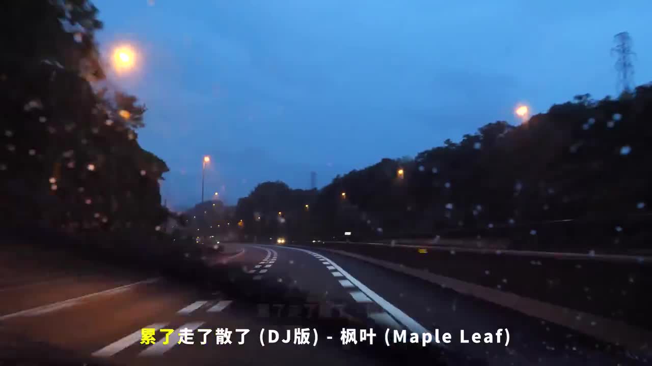 112. 累了走了散了 (DJ版) - 枫叶