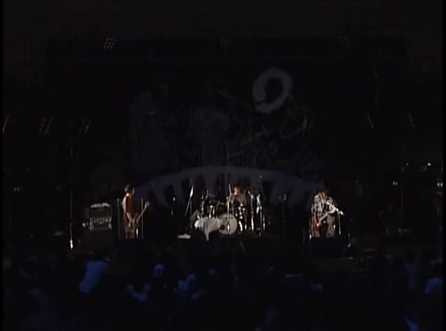 2004 野音 花びら