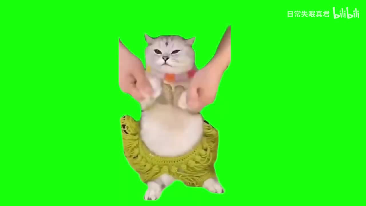 跳舞猫草裙