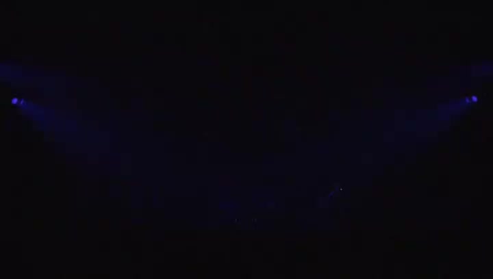 2009 創造のパルス 生まれゆく光