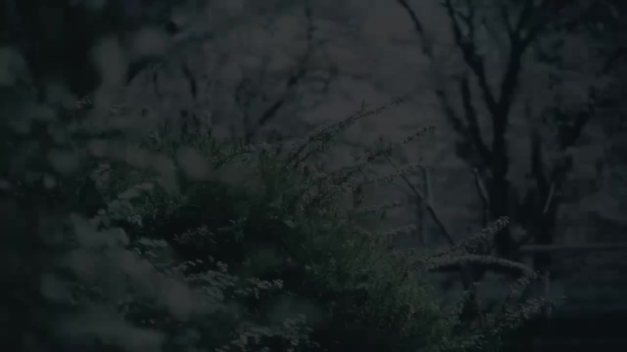 冬眠