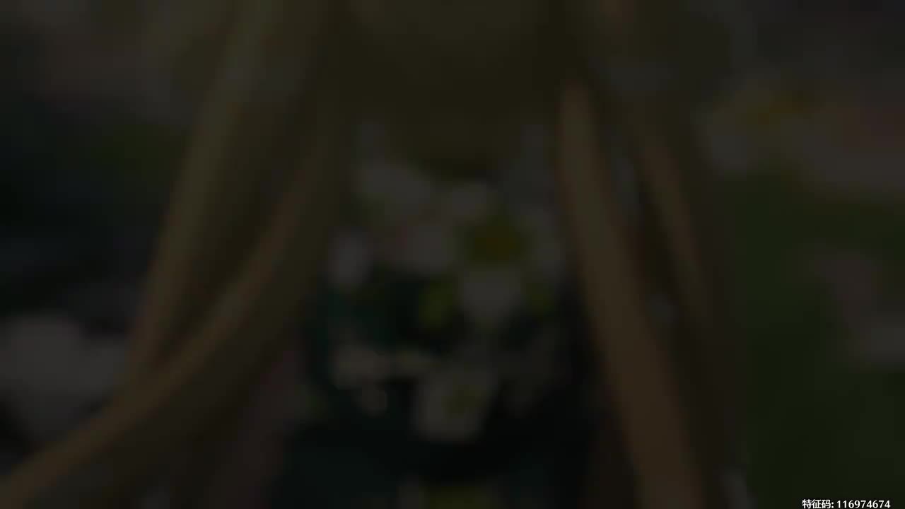 【过场动画】（24）初遇维里奈