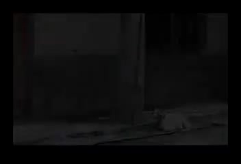 傻姐夫偷个憨媳妇1