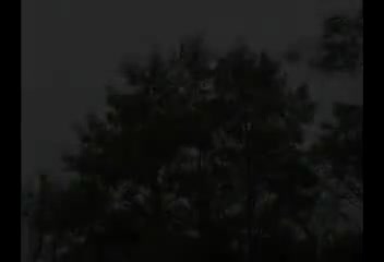 姐夫小姨谈恋爱1